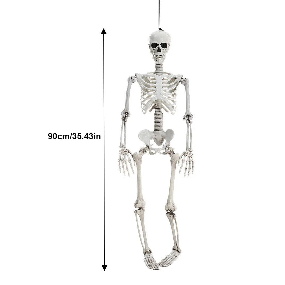 Movable Halloween Skeleton Human Bones Model